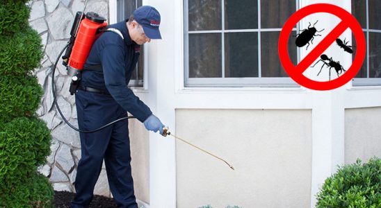 Çukurca Fare İlaçlama böcek ilaçlama ve haşere kontrolü — ilaclama-tr.com